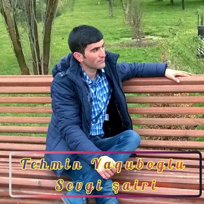 Tehmin Yaquboğlu's cover