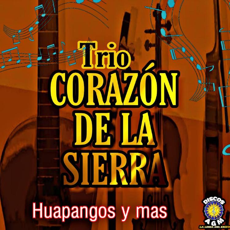 Trio Corazon De La Sierra's avatar image