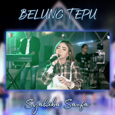 Belung Tepu's cover
