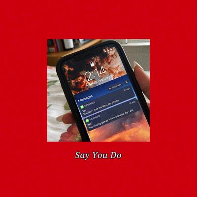Say You Do's cover