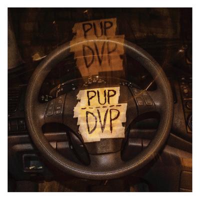 DVP By PUP's cover