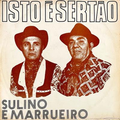 Boi Fumaça By Sulino & Marrueiro's cover