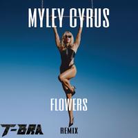 Myley cyrus's avatar cover