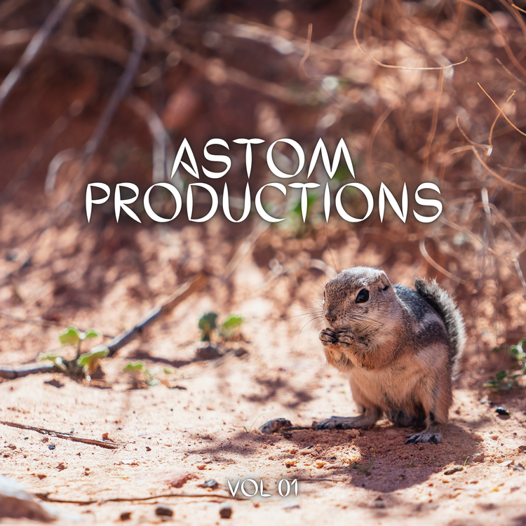 Astom Productions's avatar image