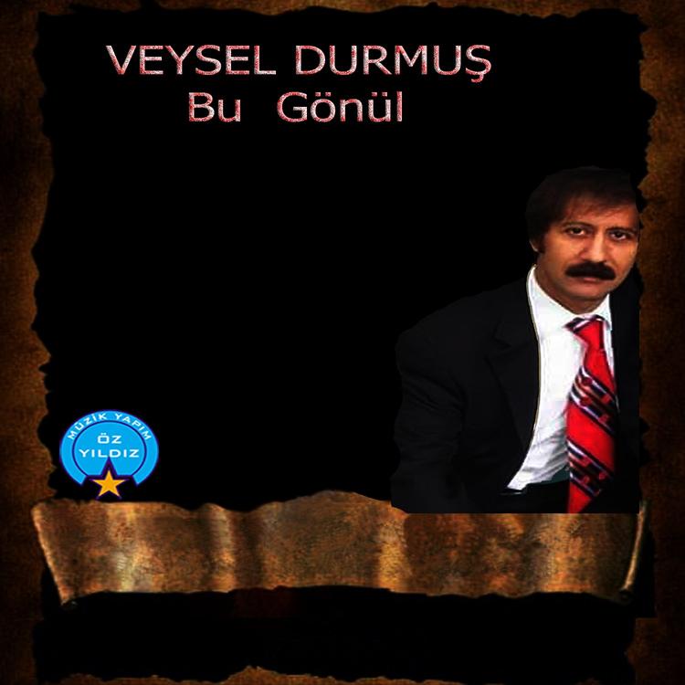 Veysel Durmuş's avatar image