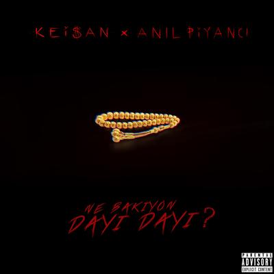 Ne Bakıyon Dayı Dayı's cover