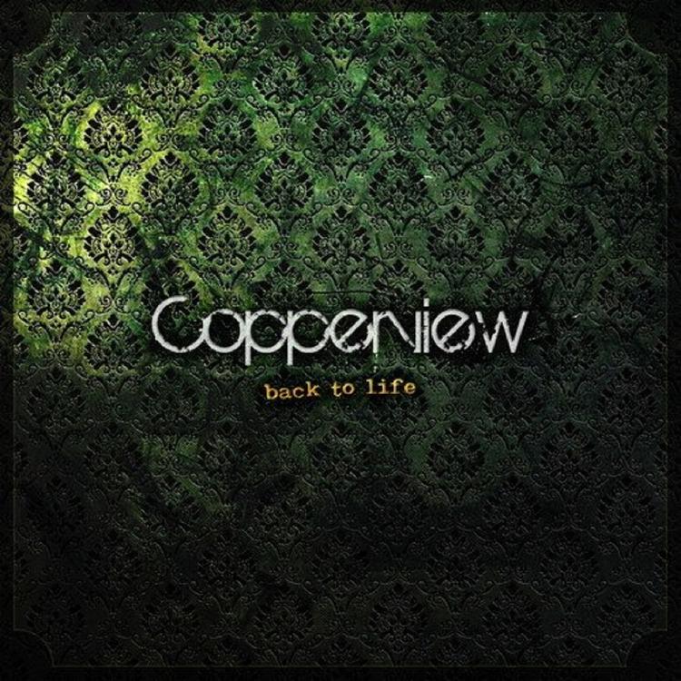 Copperview's avatar image