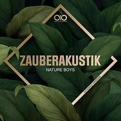 Nature Boys (Extended Versions)'s cover