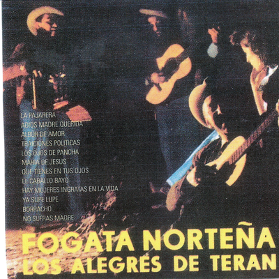 FOGATA NORTENA's cover