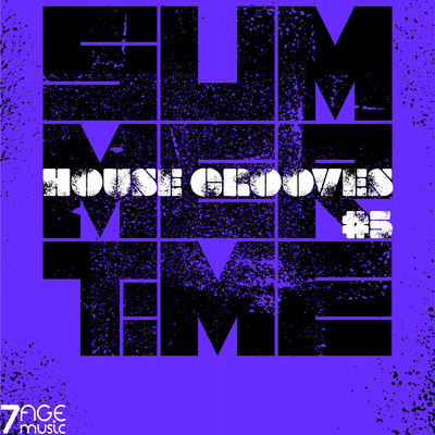 Summertime House Grooves, Vol. 5's cover