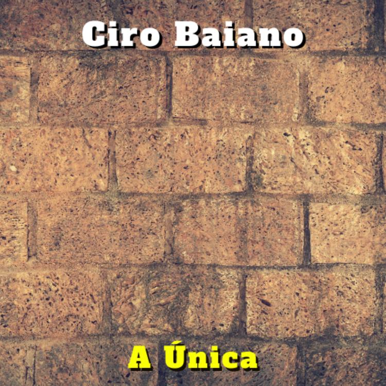 Ciro Baiano's avatar image