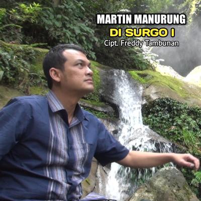 DI SURGO I's cover