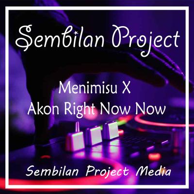 Menimisu / Akon Right Now Now (Remix)'s cover