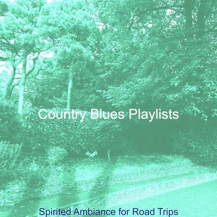 Country Blues Playlists's avatar image