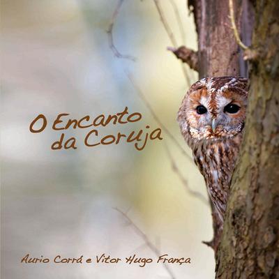 Meditação Xamânica By Aurio Corrá, Vitor Hugo França's cover