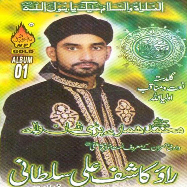 Rao Kashif Ali Sultani's avatar image