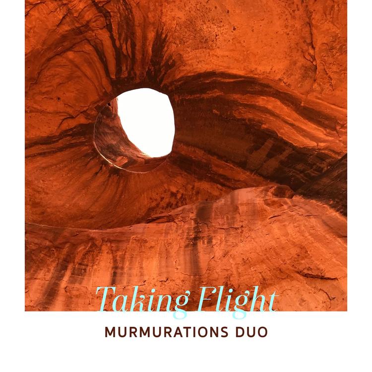 Murmurations Duo's avatar image