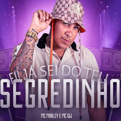 Eu Já Sei do Teu Segredinho (feat. Mc Gw) (feat. Mc Gw)'s cover