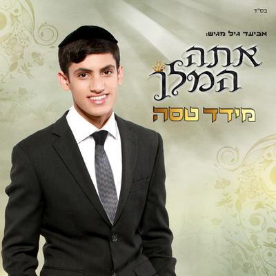 רחם ונחם By מידד טסה's cover