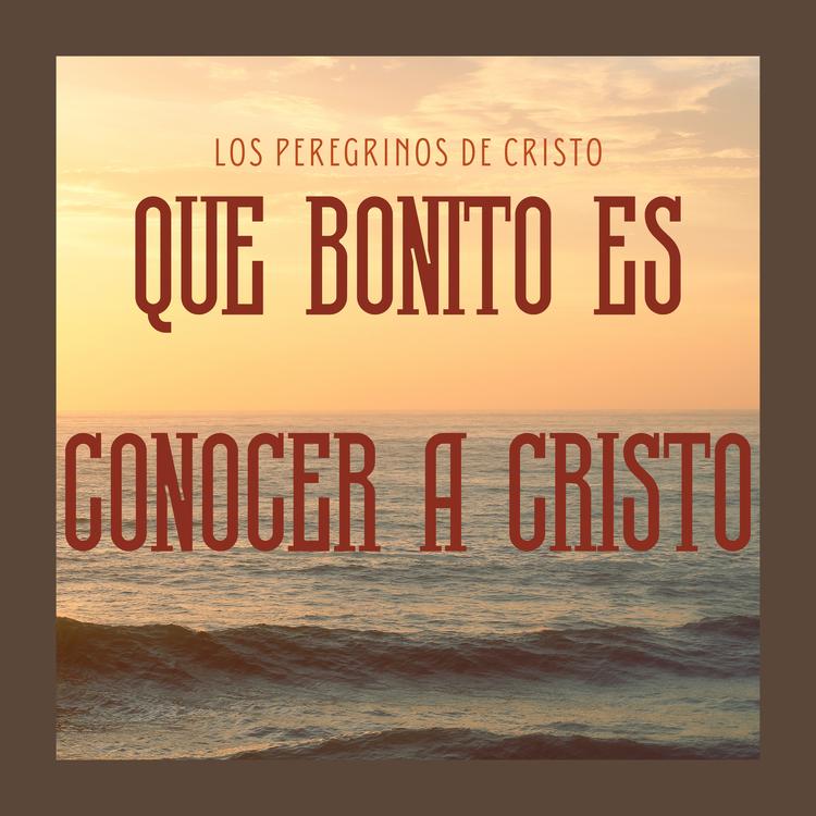 Los Peregrinos De Cristo's avatar image