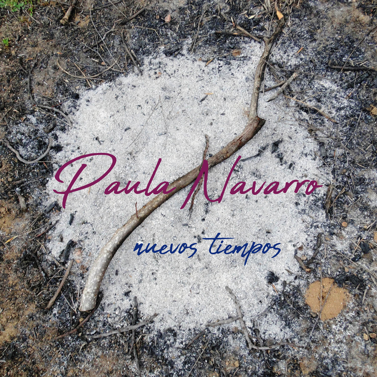 Paula Navarro's avatar image