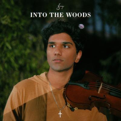 Into the Woods By Joel Sunny's cover