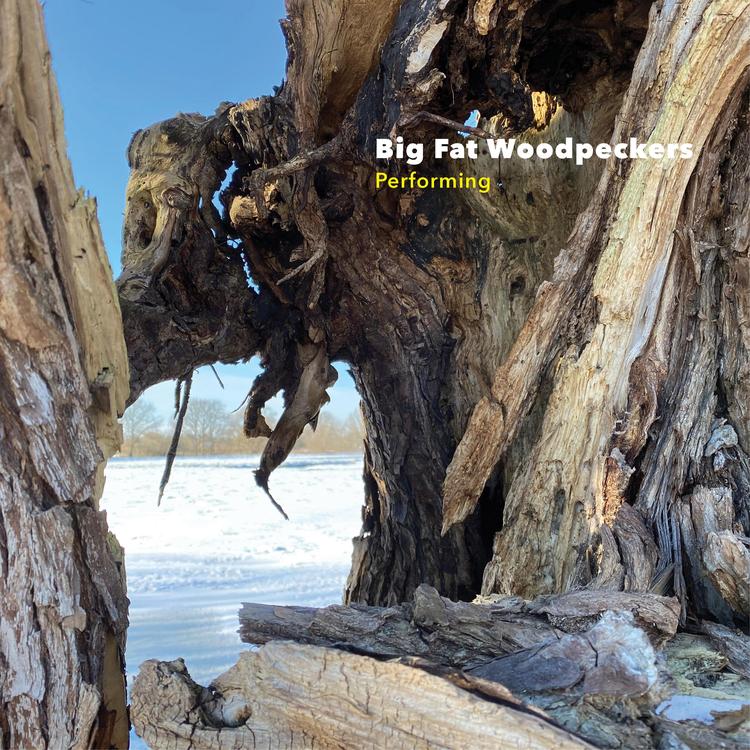 Big Fat Woodpeckers's avatar image