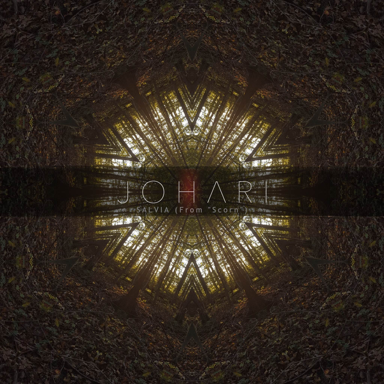Johari's avatar image