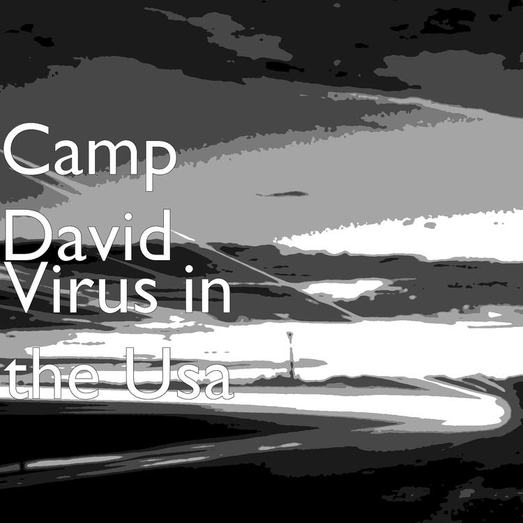 Camp David's avatar image