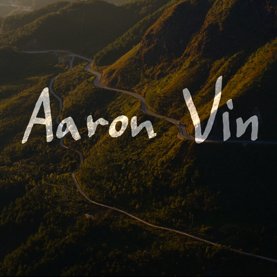 Aaron Vin's cover