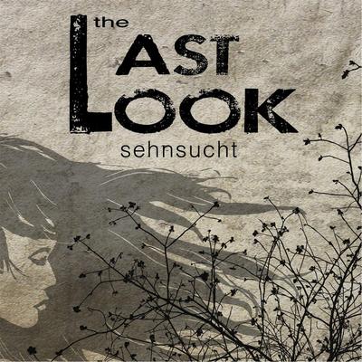 Breathe By The Last Look's cover