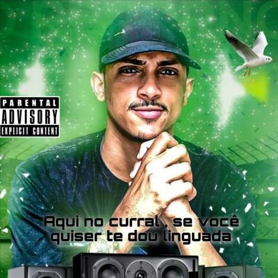 Aqui no Curral Se Você Quiser Te Dou Linguada By MC Marlon PH, Dj vn 22's cover