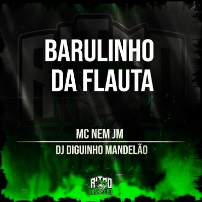 Barulinho da Flauta's cover