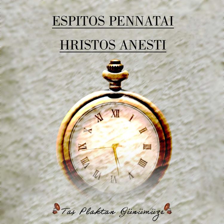 Hristos Anesti's avatar image