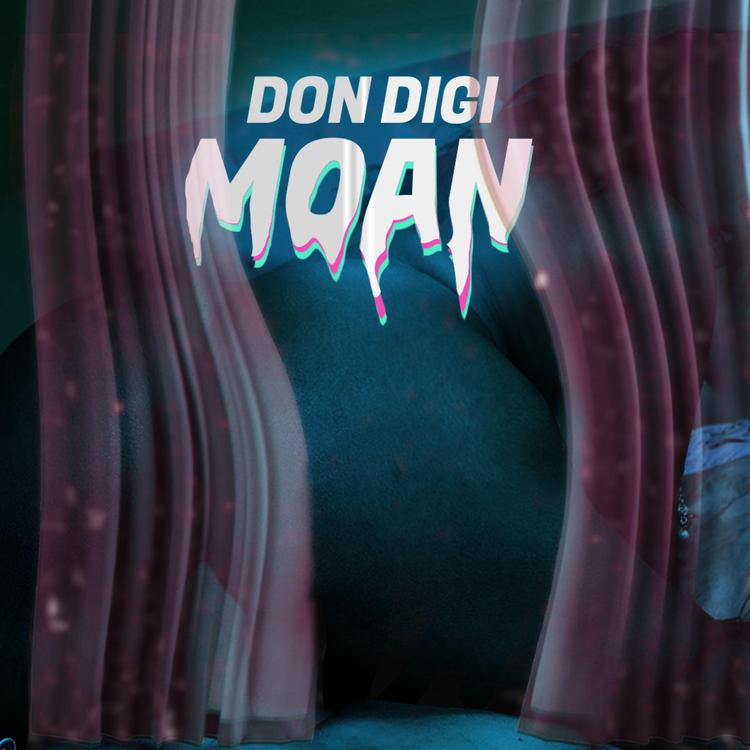 Don Digi's avatar image
