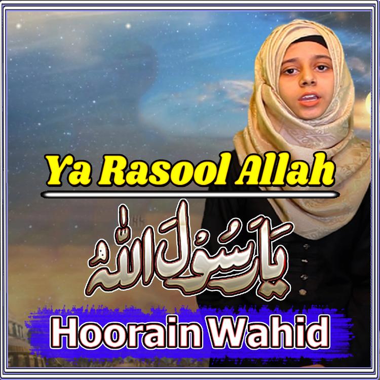 Hoorain Wahid's avatar image