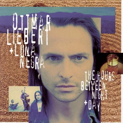 Buddha's Flower (4 My Sister) (Album Version) By Ottmar Liebert's cover