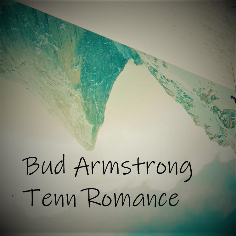 Bud Armstrong's avatar image