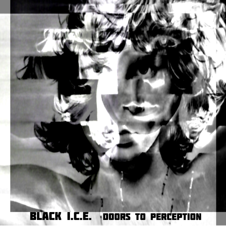 Black I.C.E.'s avatar image