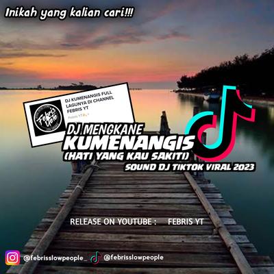 DJ KUMENANGIS ( HATI YANG TELAH KAU SAKITI)'s cover