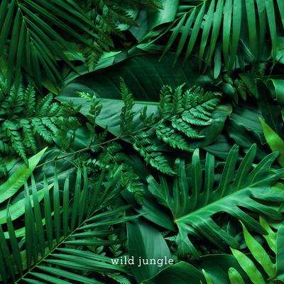 wild jungle's cover