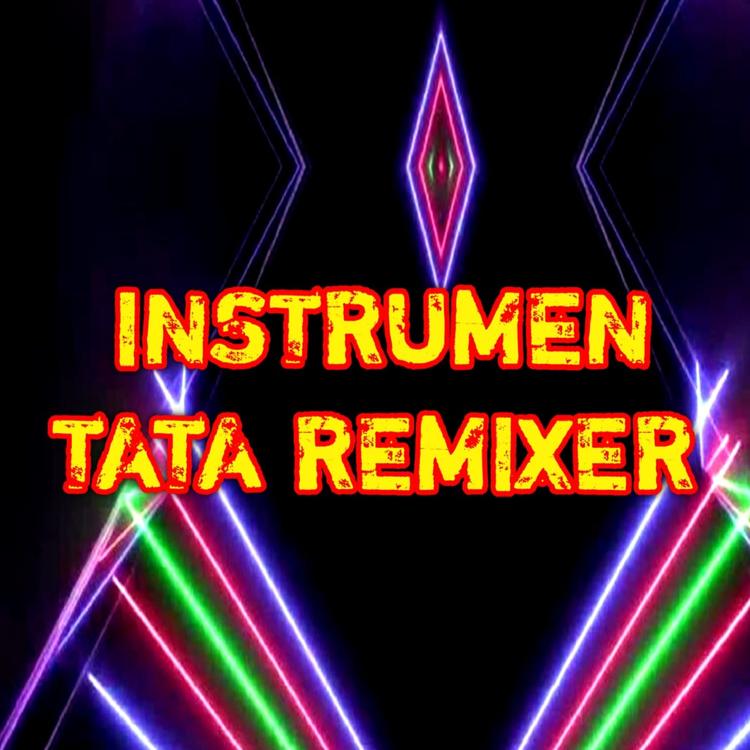 TATA REMIXER's avatar image