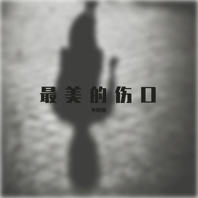 最美的伤口's cover