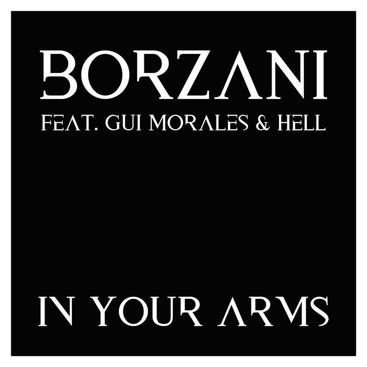 Borzani's avatar image