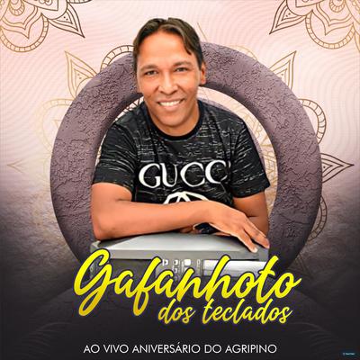 Boêmio Colarinho Branco (Ao Vivo) By Gafanhoto dos Teclados's cover