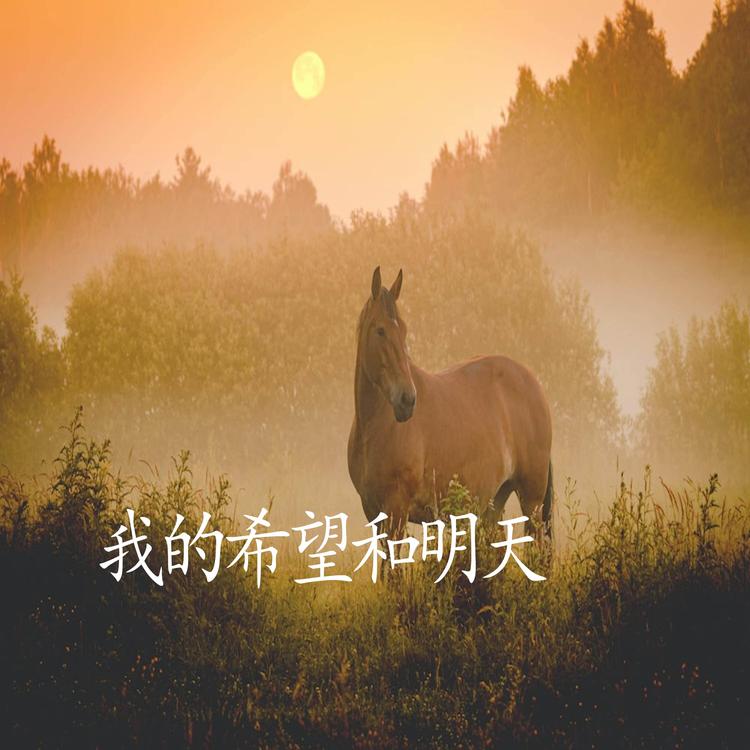 王洋's avatar image