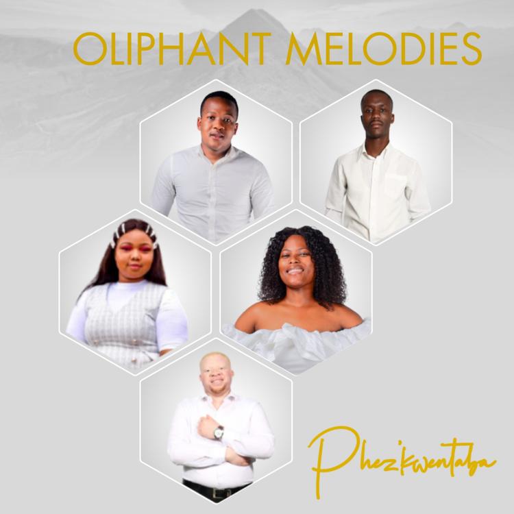 Oliphant Melodies's avatar image