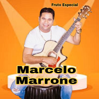 Apaziguar By Marcelo Marrone's cover