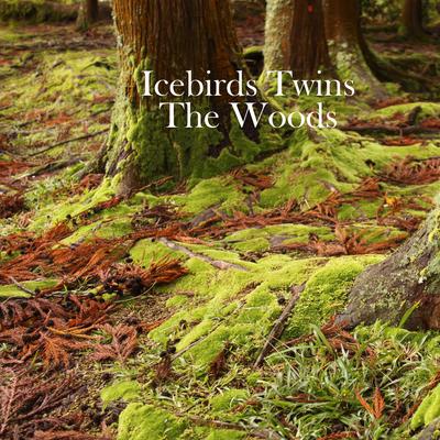 Icebirds Twins's cover