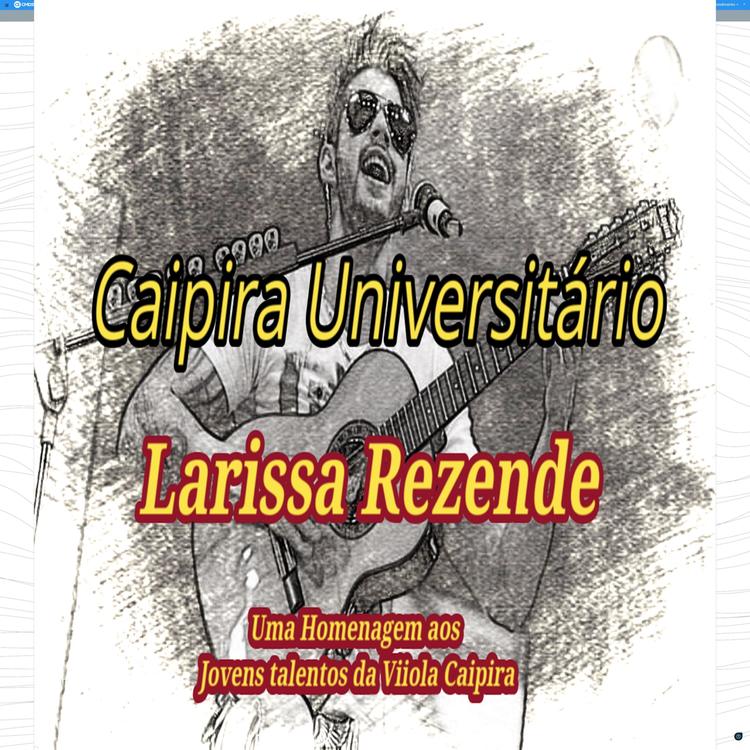 Larissa Rezende's avatar image